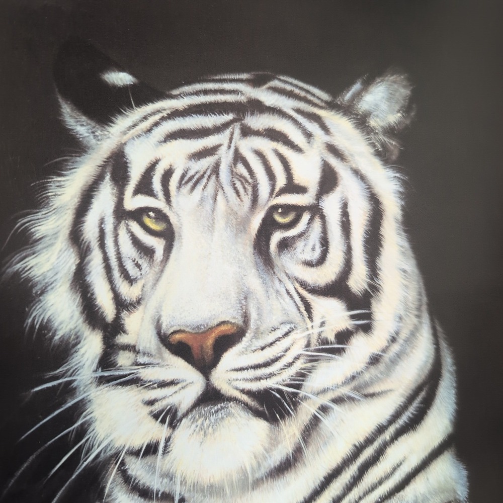 Sonia Torres Limited Edition,‎ Numbered, Signed White Tiger Artist's Print - Picture 2 of 8
